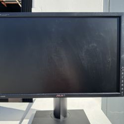 Asus Monitors 