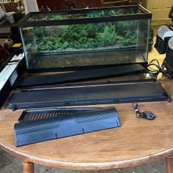 Fish Aquarium - 20 Gallon Glass Freshwater Fish