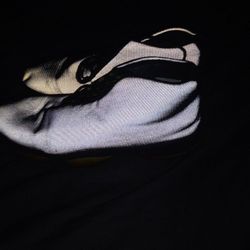 Jordan's. Nike Air Jordan's Future Men's  Basketball  Shoes