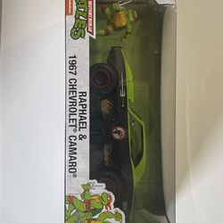 Teenage Mutant Ninja Turtles- Raphael Camaro