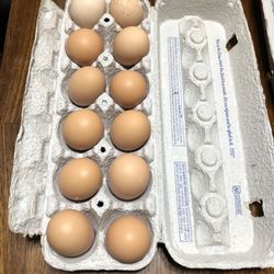 Free Range Farm Fresh Eggs 