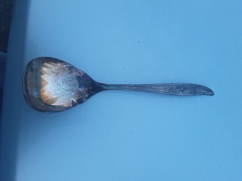Roger Brothers Silver Plated Collector Spoon