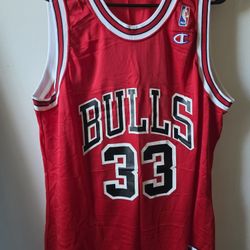 Vintage Chicago Bulls Champion Scottie Pippin Jersey Large