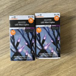 LED Mini Christmas Lights