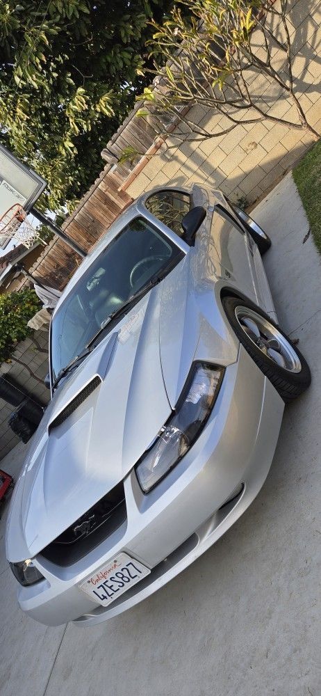 2002 Ford Mustang