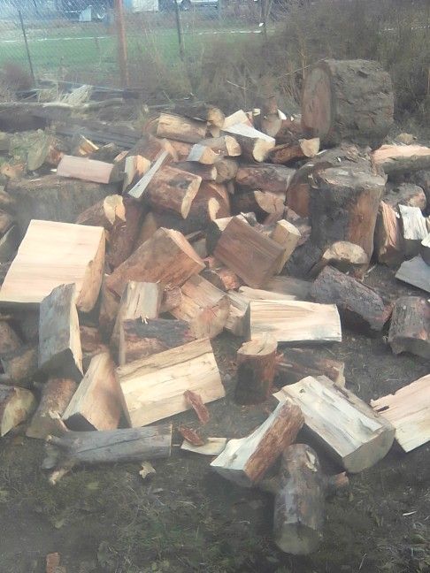 Mixed Forrest Wood Seasoned