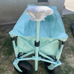 Deluxe Beach Wagon