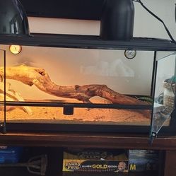 Bearded Dragoon Tankand Accessories 