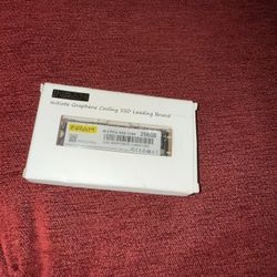 SSD 256 Gb New 