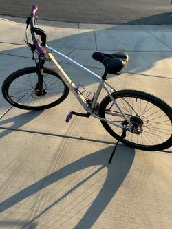 Trek Dual Sport Large