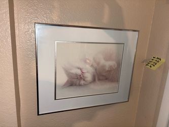 Framed Sleeping Cat Wall Art Print