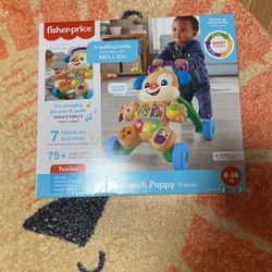 Learn With Puppy Walker