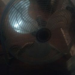 Fan 