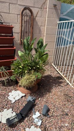 Potted Plant With Pot