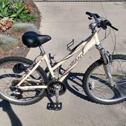 Giant SE, Just Tuned Up, Aluminum Frame