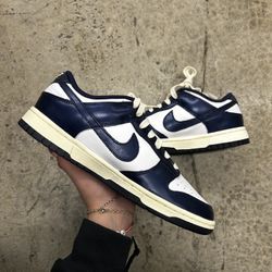 Brand New Dunk Size 9M No Box