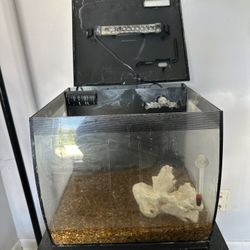 Fish Tank 10 Gallons 
