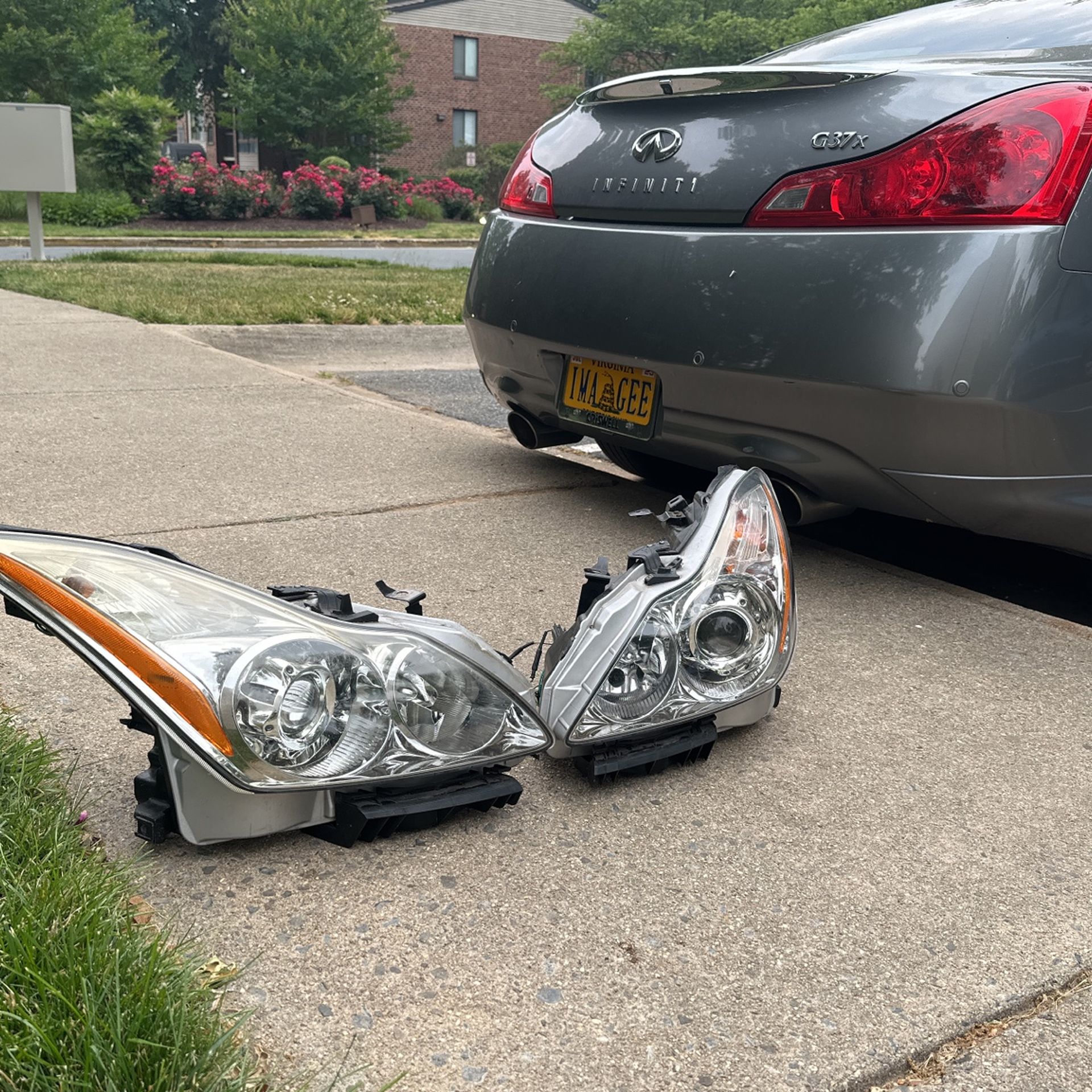 Infiniti headlights 