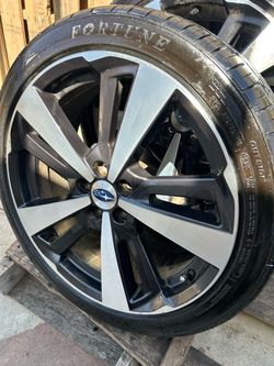 4- FORTUNE RADIAL/ FALKEN/ DELINTE