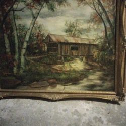 Pictures In The Forest