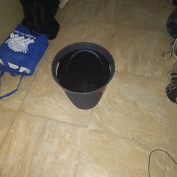 Trash Can 