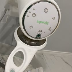Ingenuity Baby Swing