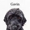 gavin.resellz