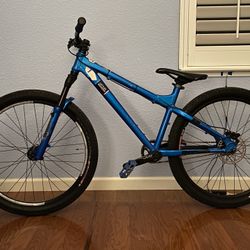 Custom Dirt Jumper Bike