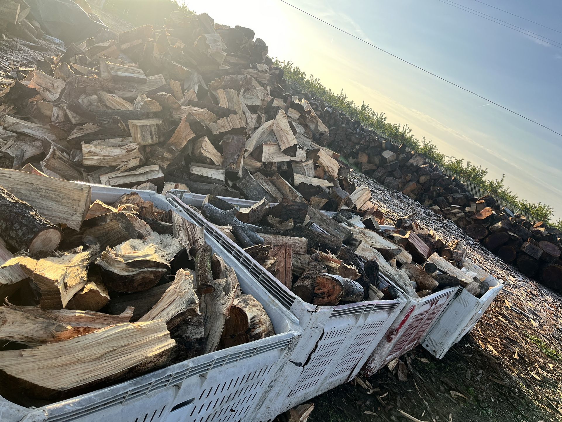 Firewood