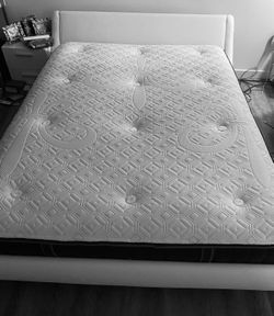 Leather Bed New  Frame Only 