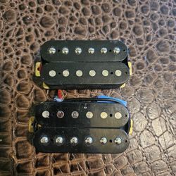 Epiphone Humbuckers Pickups
