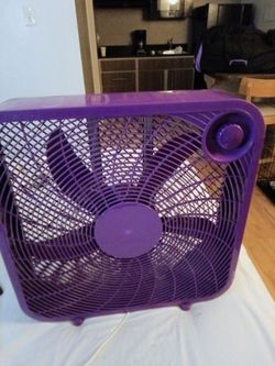 Fan