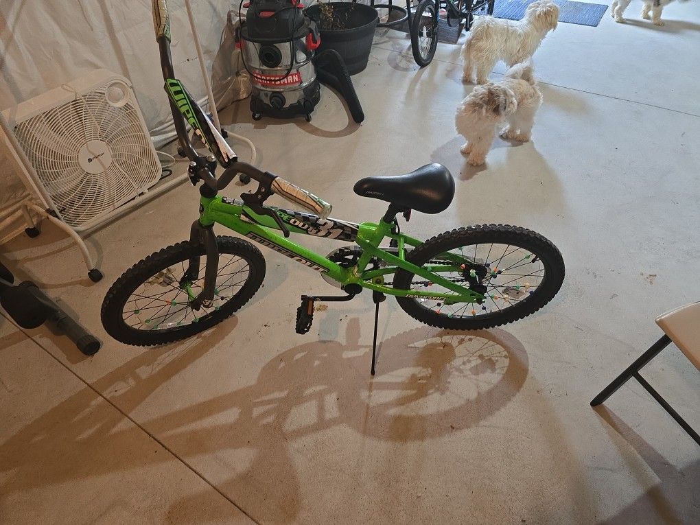 Wipeout Bike Green 12"
