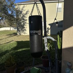 Century Wave Punching Bag With Bag Stand