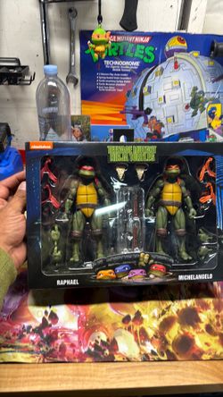 Teenage mutant ninja turtles