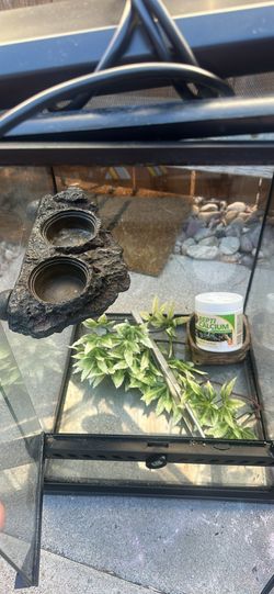 Reptile tank