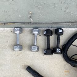 10 Pound Dumbells 