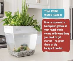 Hydroponic Fish Tank