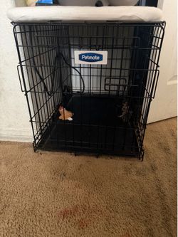 Dog Kennel and Bowl