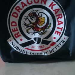 Red Dragon Karate Sparring Gear