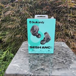 Skull candy Ear Pods