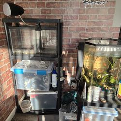 Aquarium And All Equipment 