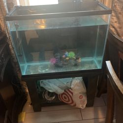 Fish Tank 