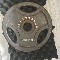 25lbs Weight Plate 