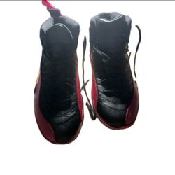 Nike Air Jordan 12 Black And Red Size 10