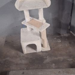 Cat Climbing Scratch Post