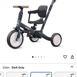 5 In 1 Push Tricycle 