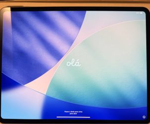 Unlocked iPad Pro 13 inch (M4)