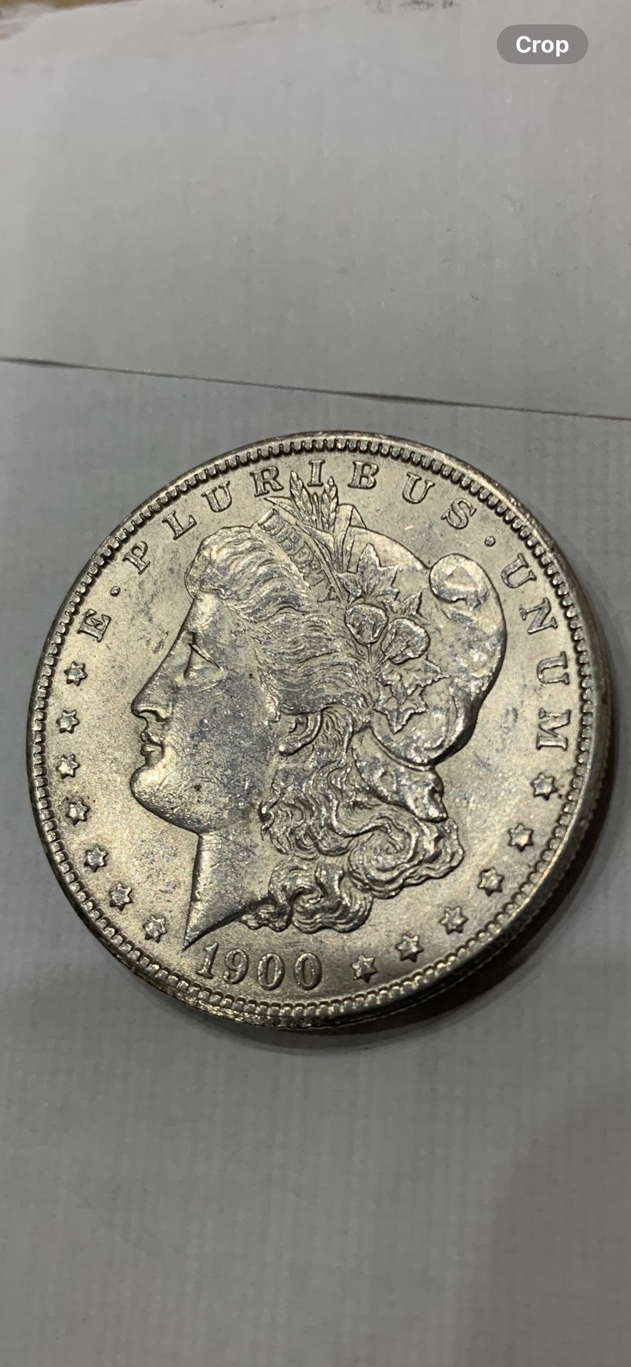 1900 P Morgan Silver Dollar 