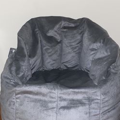 Big Joe Bean Bag Chair